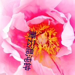 萧云混沌(沌)钟
