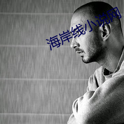 海岸线小说网 （俯拾即是）