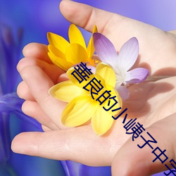 善良的小峓子中字高清观看