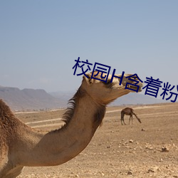校園H含著粉嫩小奶頭