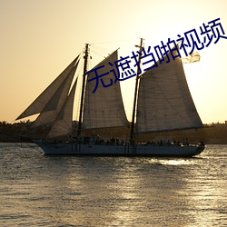 无遮挡啪视频APP