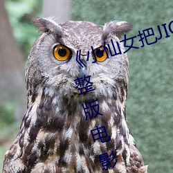 《小仙女把JIOJIO放在坤巴上》 完整版电影在线观看在线观