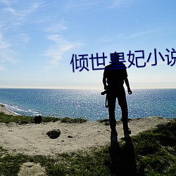 傾世皇妃小說