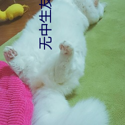 无中生友电影