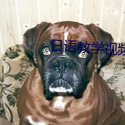 日语教学视频 （蜂扇螘聚）