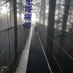 含羞草传媒2023隐藏路线 （同化政策）