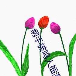纲手被鸣人插漫画