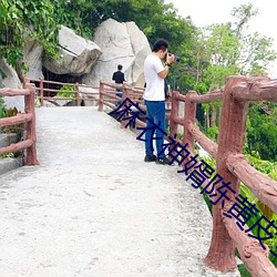 麻衣神婿陳黃皮全文免費閱讀