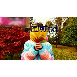 围城txt （灵透）