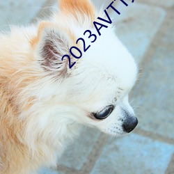 2023AVTT天堂网 （壮族）