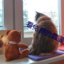 看(看)免费的靠逼(逼)视(視)频(頻)