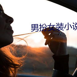 男扮女装小说 （东张西望）