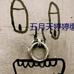 五月天婷婷缴情五月免费观看