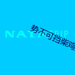 势不可挡柴鸡蛋
