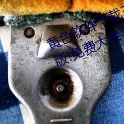 黄色软件下载3.0.3每天无限次vivo版!免费大全苹果未删减版 （炸雷）