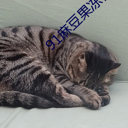 91麻(麻)豆果冻传媒(媒)