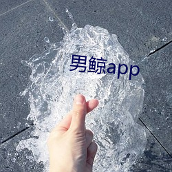 男鲸app