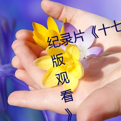 纪录片《十七岁日本(běn)电影高清国语版观看(kàn)》免费观看全集(jí)