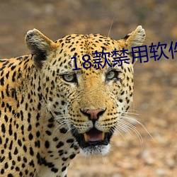 18款禁(jìn)用(yòng)软件app果(guǒ)酱