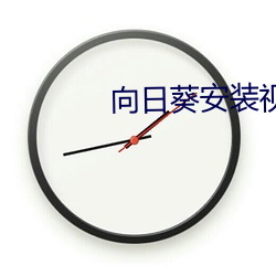 向日葵安裝視頻