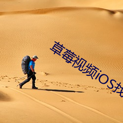 草莓(莓)视频iOS找不(不)到文件