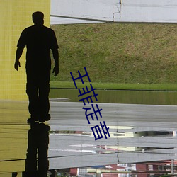 王菲走音