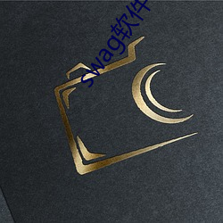 swag软(ruǎn)件下载