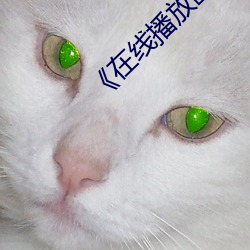 《在线播放欧美(美)WB二(二)∵级(級)SUV大全》
