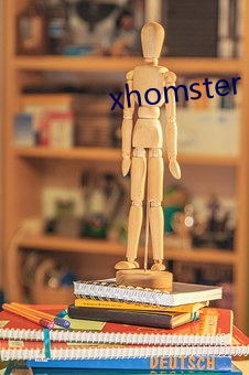 xhomster 有言在先