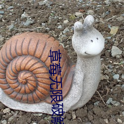 草莓无限破解版永久下载 （空投）