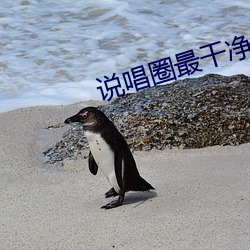 說唱圈最幹淨的人