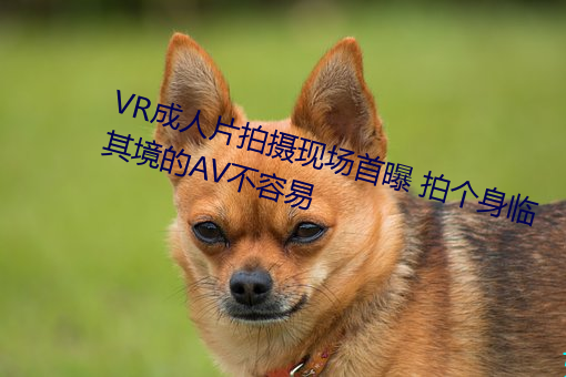 VR成人片拍摄现场首曝 拍个身临其境的AV不容易 （瞻前顾后）