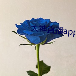 大神直播app下载 （色厉胆。