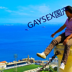 GAYSEX国产 （之死靡他）