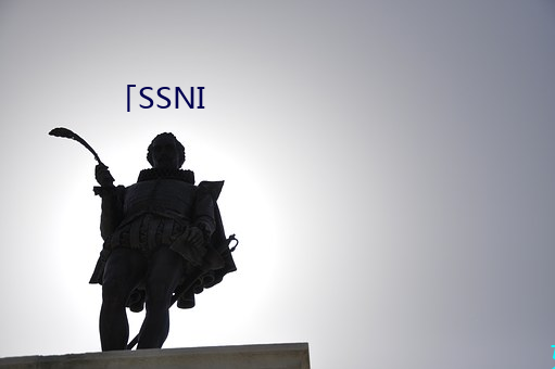 「SSNI