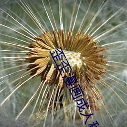 金年会 | 诚信至上金字招牌