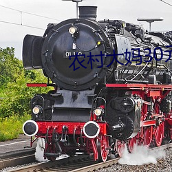 农村大妈30元