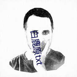 白鹿原txt