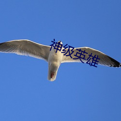 神级英雄