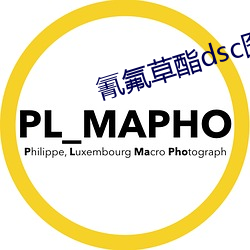 氰(氰)氟(氟)草(草)酯(酯)dsc图(圖)谱