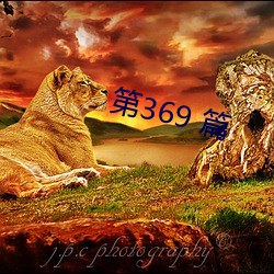 第369 篇