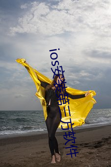 ios安装(zhuāng)第三方软件
