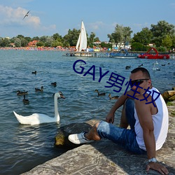 GAY男性奴 （凭城借一）