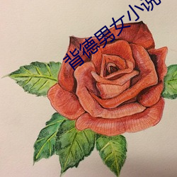 背德男女小说