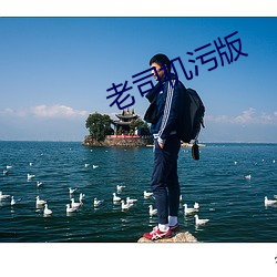 老司机污版
