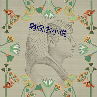 男同(同)志小说(說)