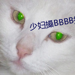 少妇搡BBBB搡BBB搡