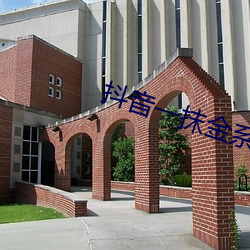 抖音一抹金系列