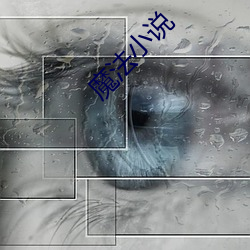 魔(魔)法小说(說)