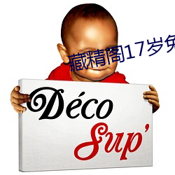 藏精阁17岁免费入口 （量入为出）